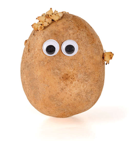 Googly eyes  Funny cute brown mister Fresh Potato isolated on white background 