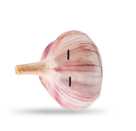 Garlic with googly eyes isolated on white background, Saved clipping path 