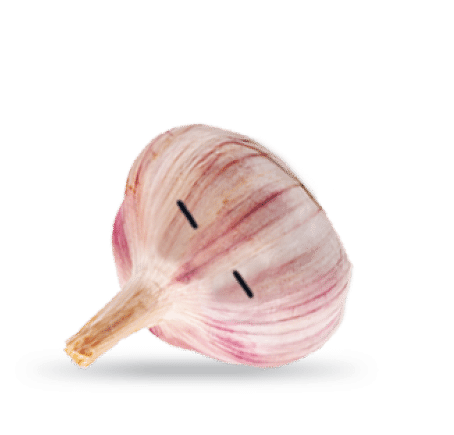 Garlic with googly eyes isolated on white background, Saved clipping path 