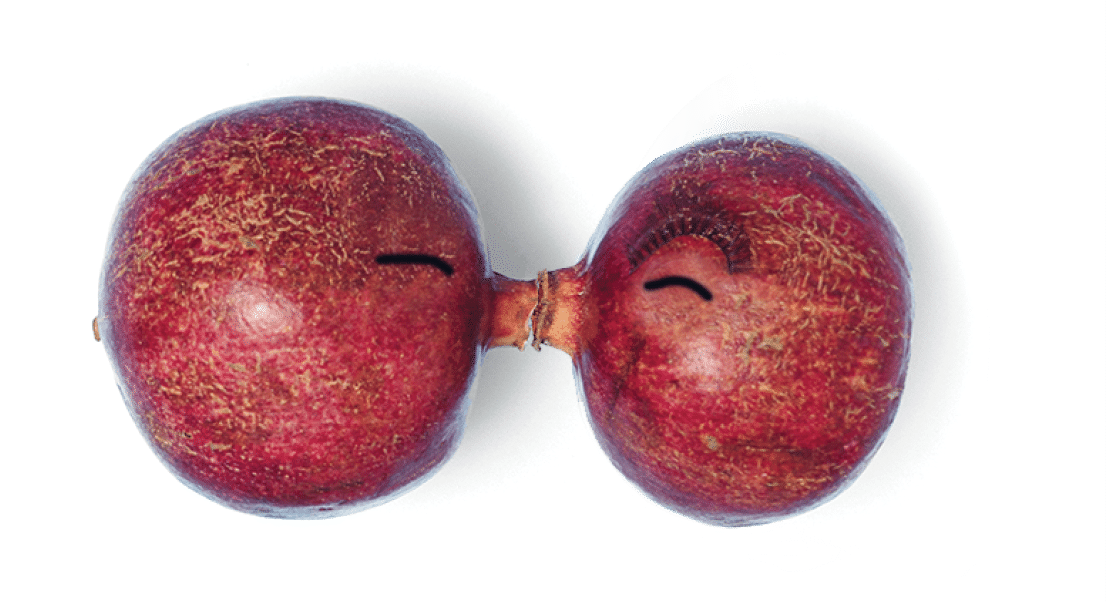 Flat lay arrangement consist of two pomegranates with pomegranate seeds form heart shape on the pastel blue background  Used wiggle googly eyes and false eyelashes 