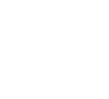 Primeira edição digital interativa